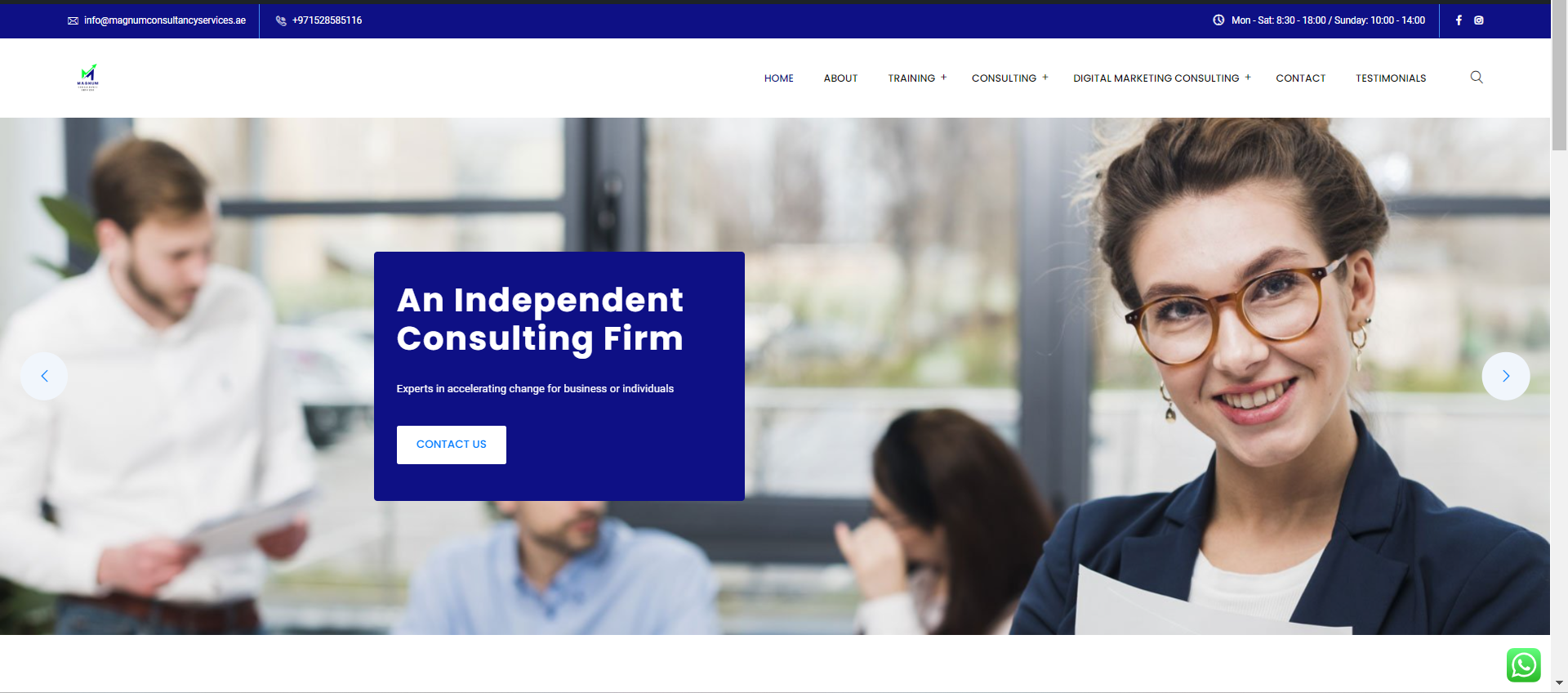 home page of magnum consultancy services